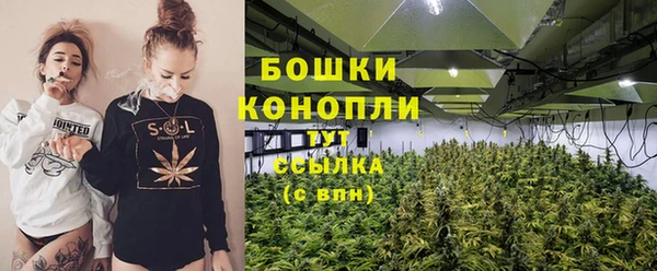 mdpv Горно-Алтайск