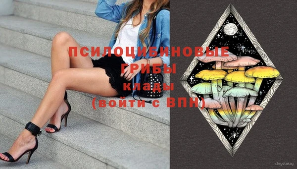 кокс Вяземский