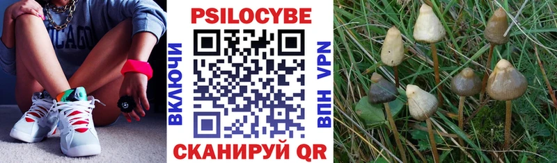 маркетплейс клад  Пермь  Галлюциногенные грибы ЛСД  как найти закладки 